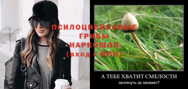 mix Абаза