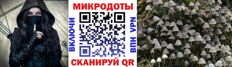 Псилоцибиновые грибы Psilocybe  Североморск 