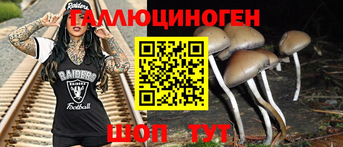 Галлюциногенные грибы мухоморы Североморск