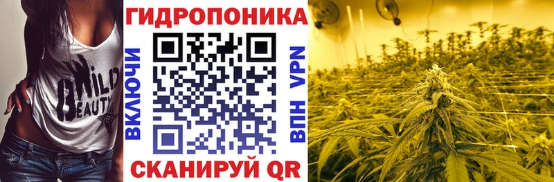 кракен как зайти  Североморск  МАРИХУАНА сатива  купить наркоту 
