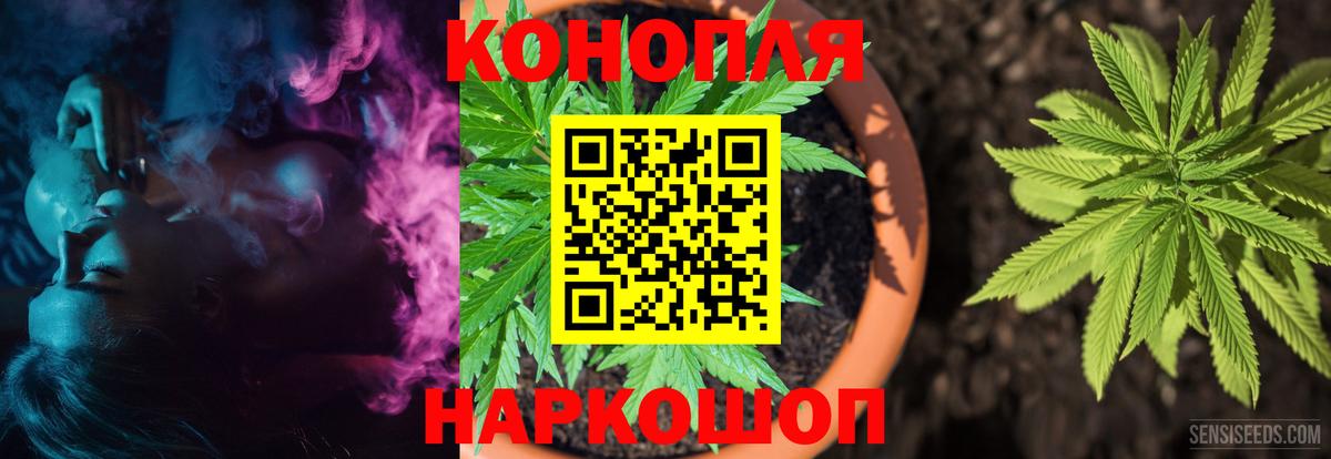 Конопля семена  Бошки Шишки Bruce Banner  Канабис семена  Вход с VPN  Североморск 